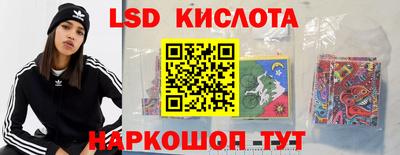 a pvp Владимир