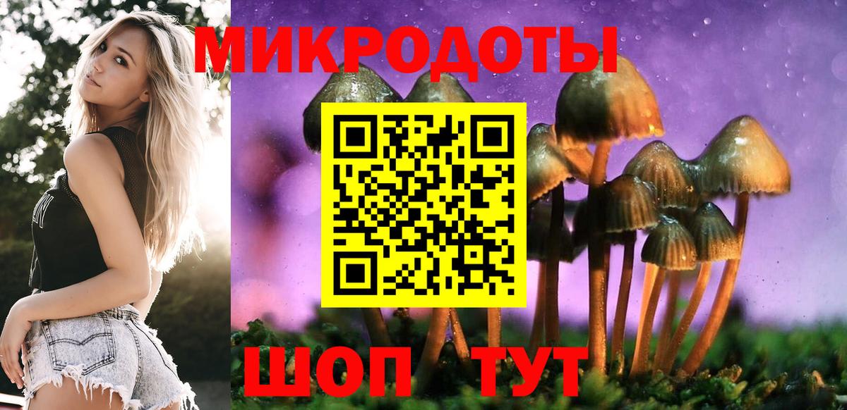 Галлюциногенные грибы Cubensis Старая Купавна