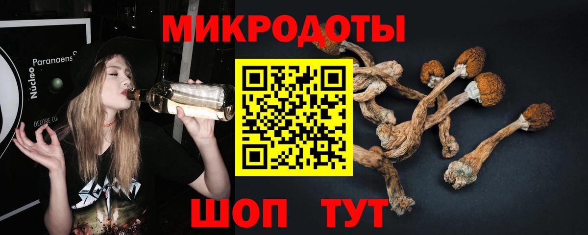 Галлюциногенные грибы мухоморы  Вход с VPN  Старая Купавна 